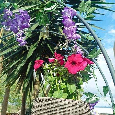 Cavado Terrace Studio Parada de Tibaes Dış mekan fotoğraf