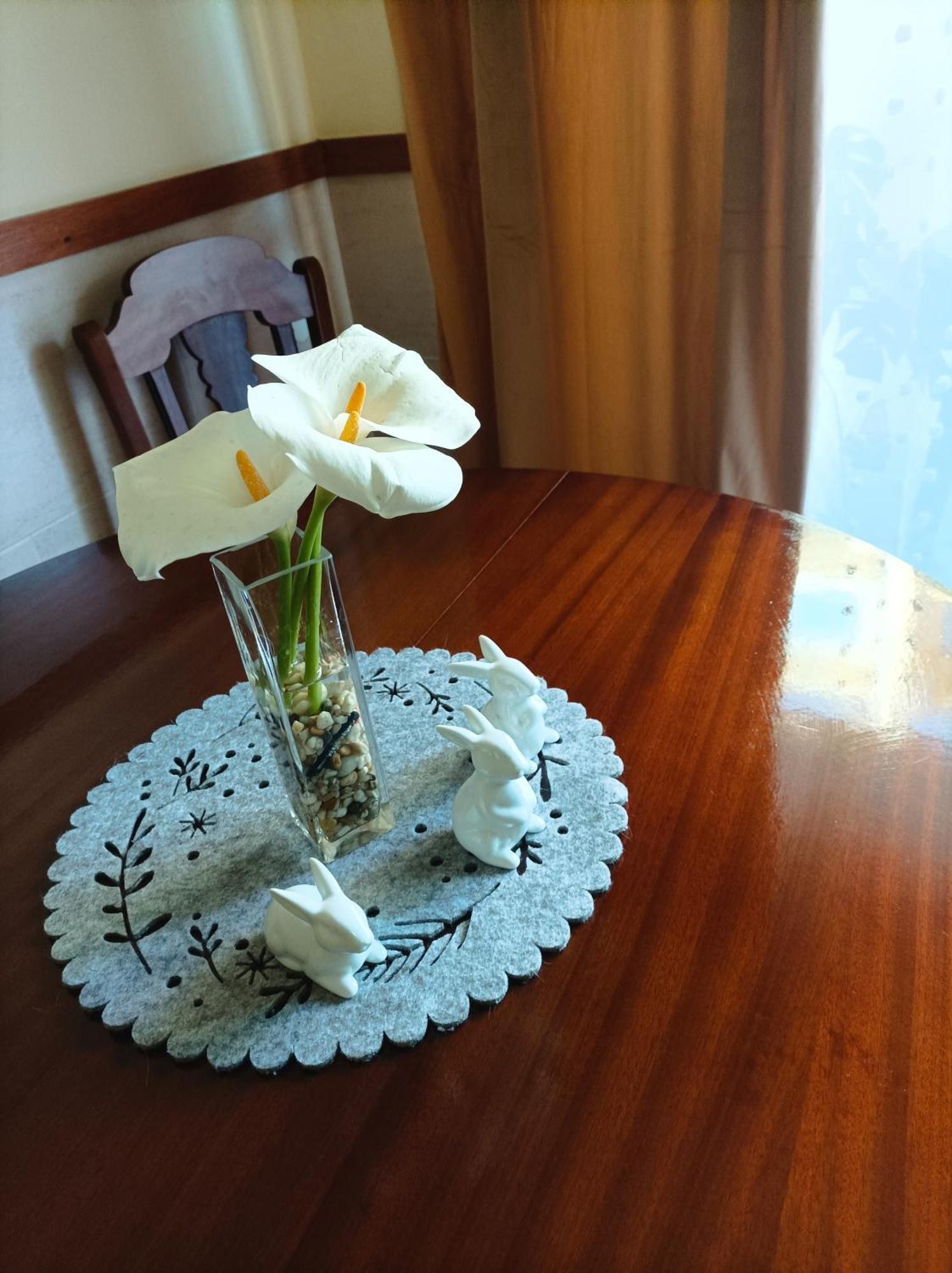 Cavado Terrace Studio Parada de Tibaes Dış mekan fotoğraf