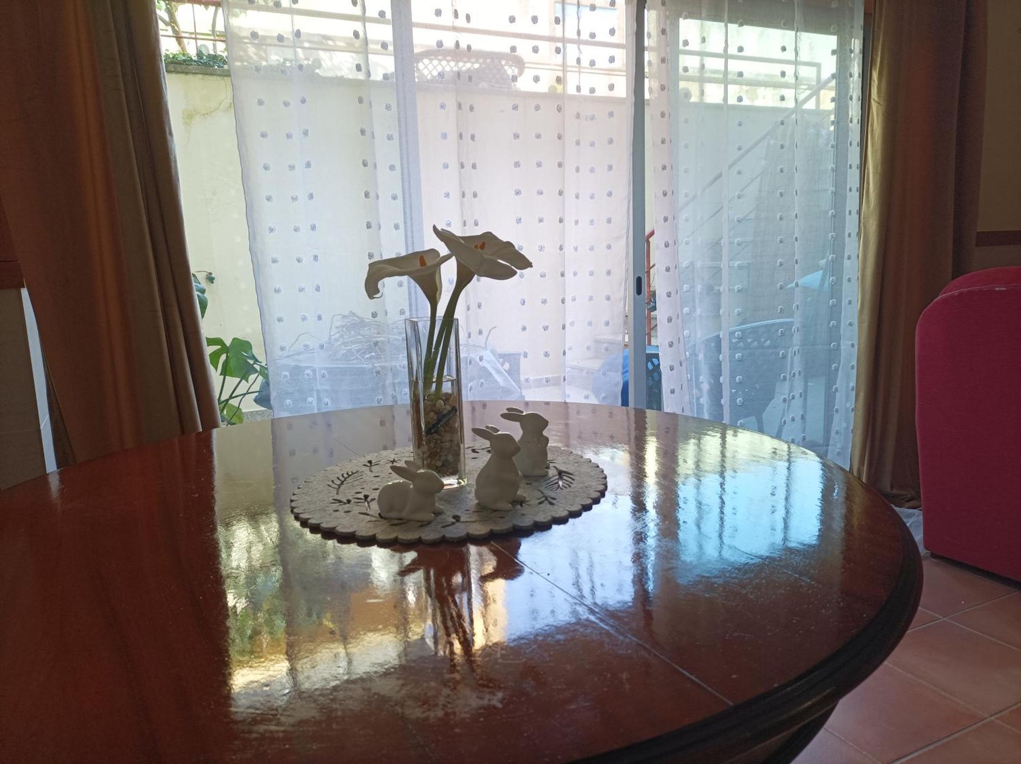 Cavado Terrace Studio Parada de Tibaes Dış mekan fotoğraf